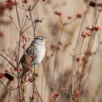 24k88娱乐平台的魅力:如何选择最适合你的游戏项目 7clouh7