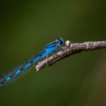 24K平台娱乐:让你体验前所未有的游戏与社交结合 oqraow