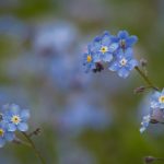 esball娱乐官网:带你进入精彩纷呈的游戏世界 yvxj8k5kl